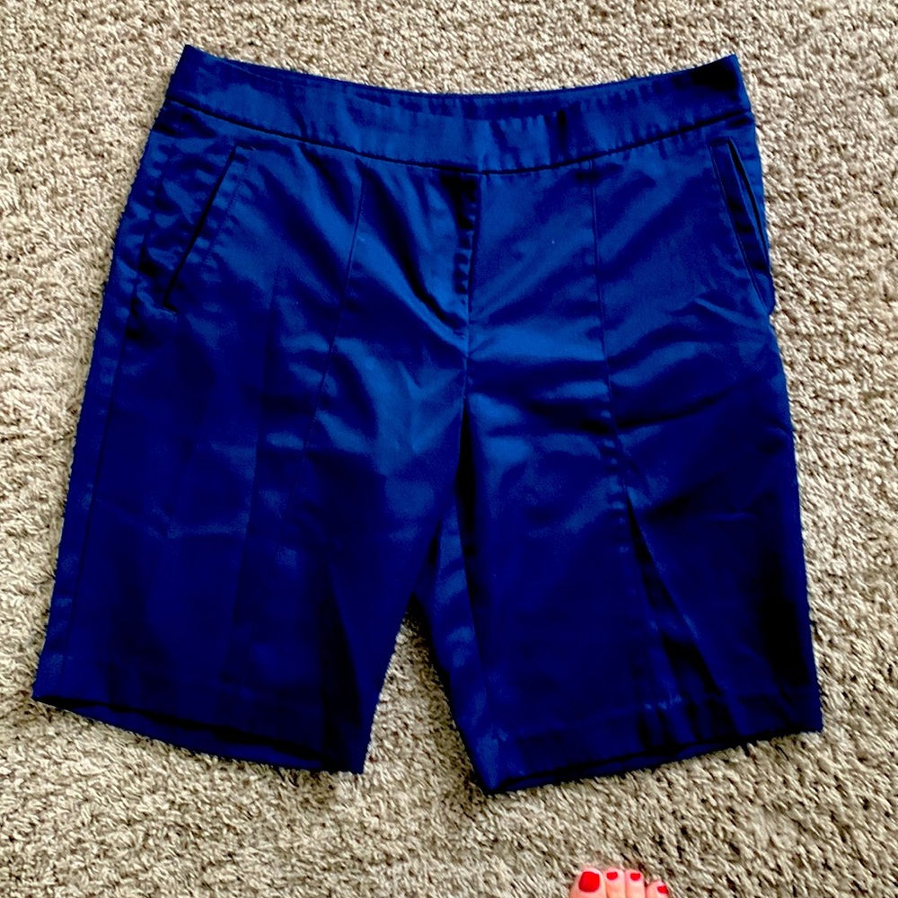 Beautiful Blue Izod Shorts